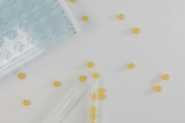 Réformes Récentes : Comment Elles Révolutionnent les Pratiques Médicales